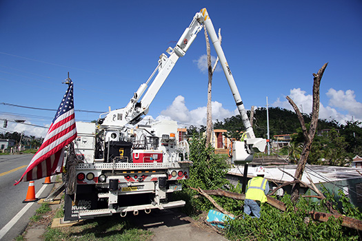 disaster response