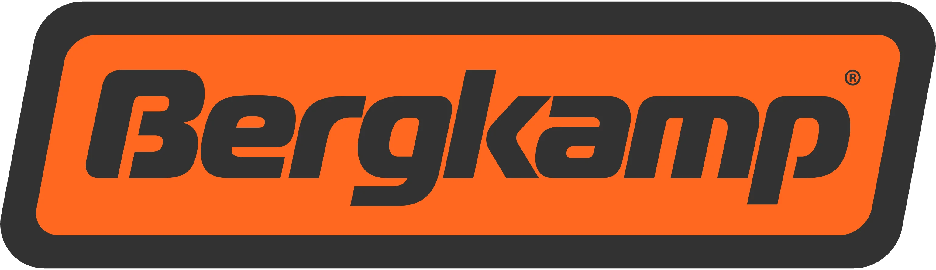 Bergkamp