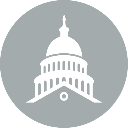 capital building white icon